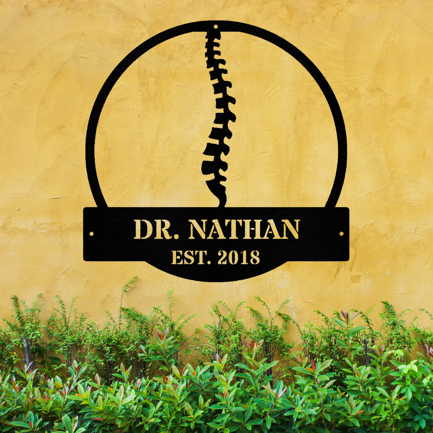 Personalized Chiropractor Metal Wall Sign, Chiropractic Practice Sign, Chiropractic Center Wall Decor