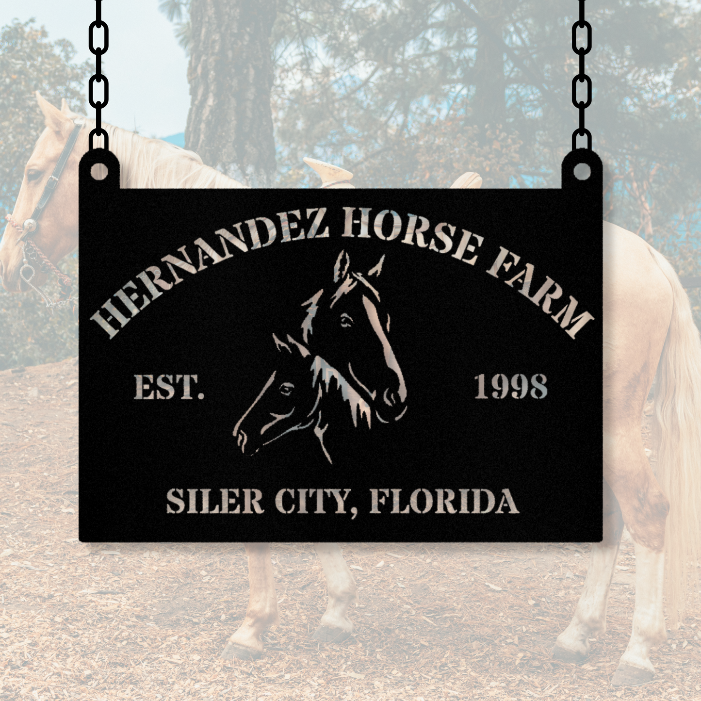 Personalized Horse Farm Metal Sign, Equestrian hanging Decor, Farm Addrress Sign, Custom Name Sign, Last Name Metal Sign, Horse Lover Gift