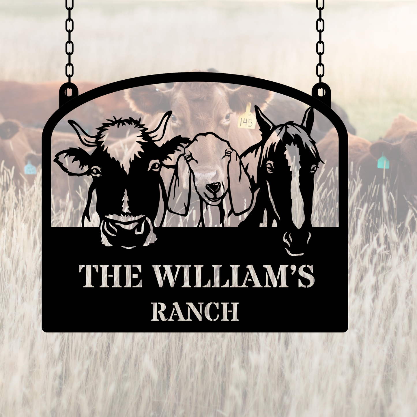 Custom metal farm name sign, Large metal name sign, Ranch metal sign, Hangable farm sign