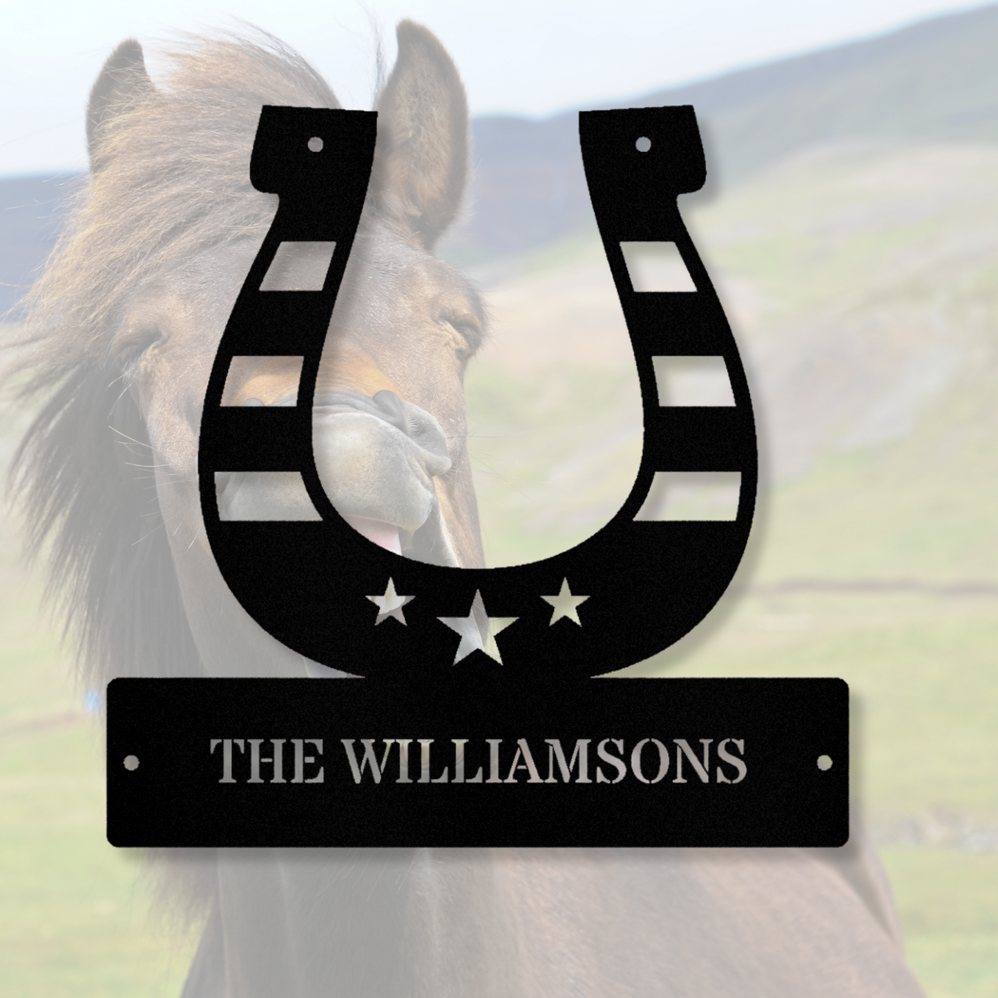 Custom Horse Shoe Metal Sign, American Flag Horseshoe Sign, Horse Farm Metal Sign, Last Name Metal Sign,