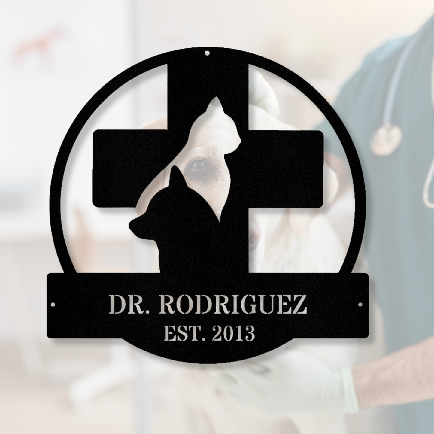 Personalized Veterinary Metal Sign, Custom Vet Sign, Vet Office Wall Art, Gift for a Veterinarian, Animal Lover Gift,