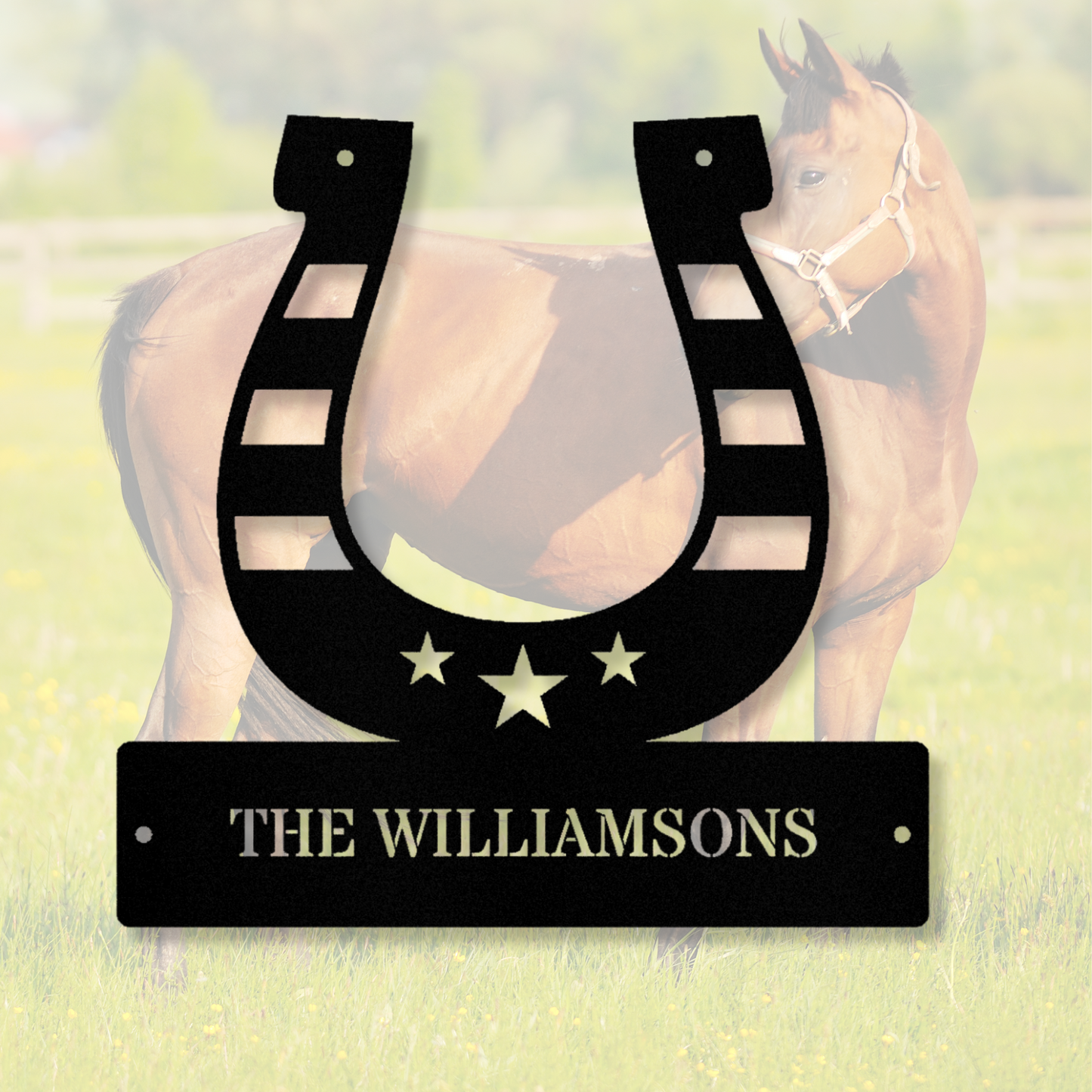 Custom Horse Shoe Metal Sign, American Flag Horseshoe Sign, Horse Farm Metal Sign, Last Name Metal Sign,