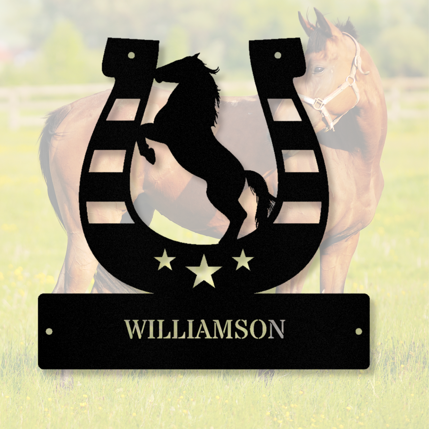 Customized Horseshoe Metal Sign, Last Name Metal Sign, American Flag Horseshoe Sign, Horse Farm Sign, Rustic Western Decor, Country Home Décor