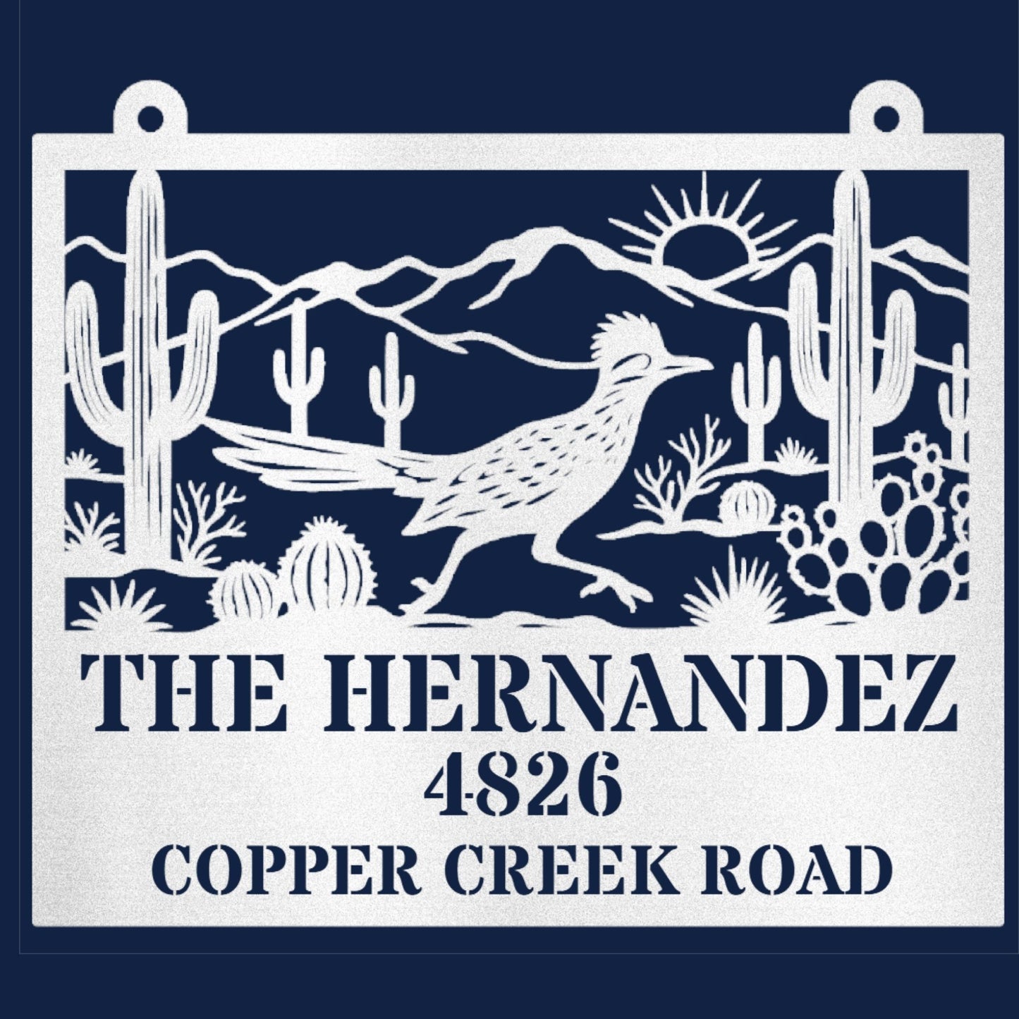 Custom Roadrunner Address Sign, Personalized Metal House Number Sign, Southwest Decor