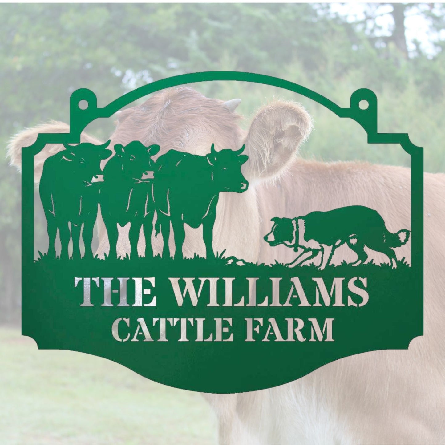 Personalized Gift for Cattle Farmer | Custom Ranch Metal Sign | Father's Day Gift, Texas Style Decor, Est Family Name Sign, Barn Wall Art