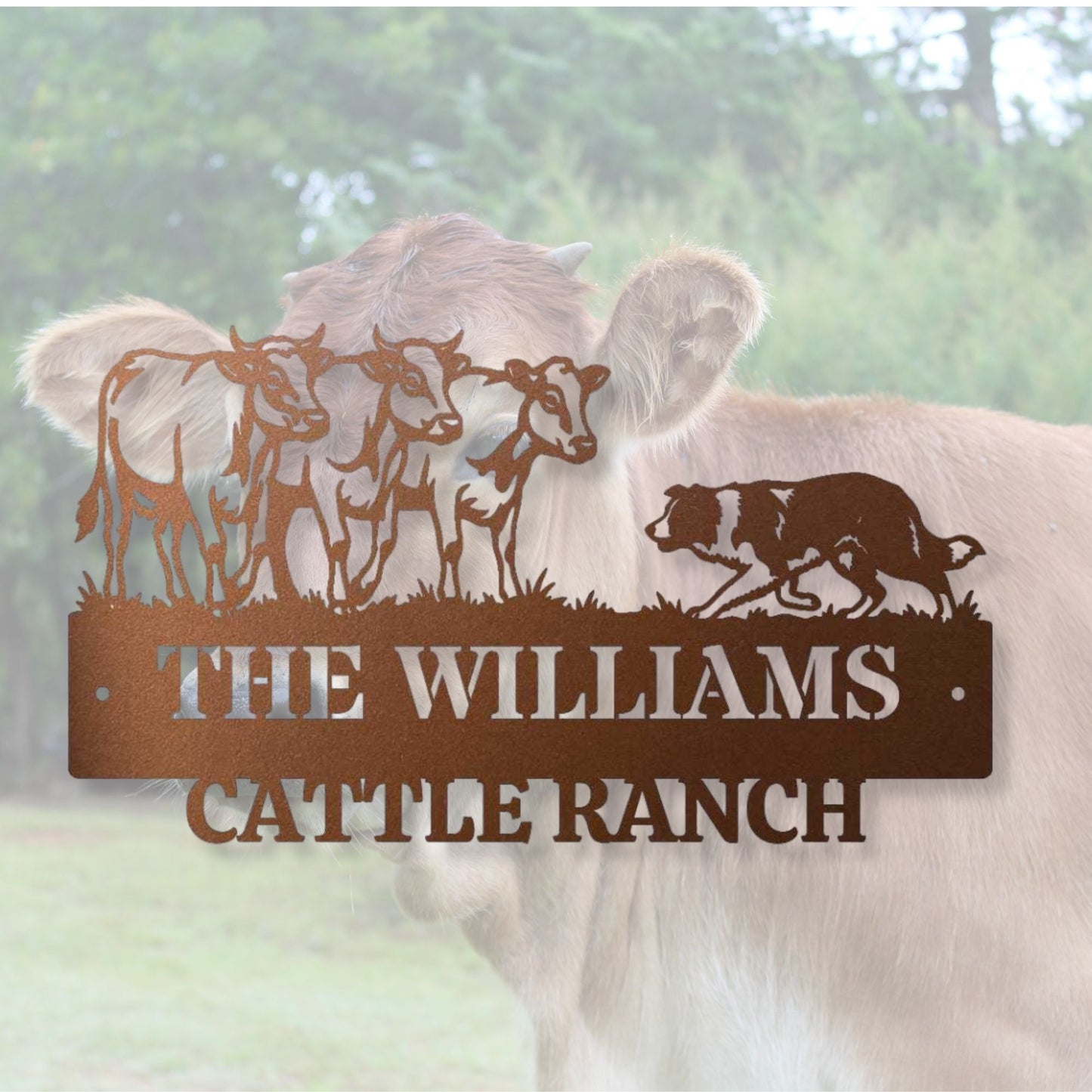 Personalized Ranch Metal Sign, Custom Family Name Cattle Sign, Farmhouse Wall Decor, Outdoor Metal Sign for Barn, Gift for Farmer, Rancher Gift
