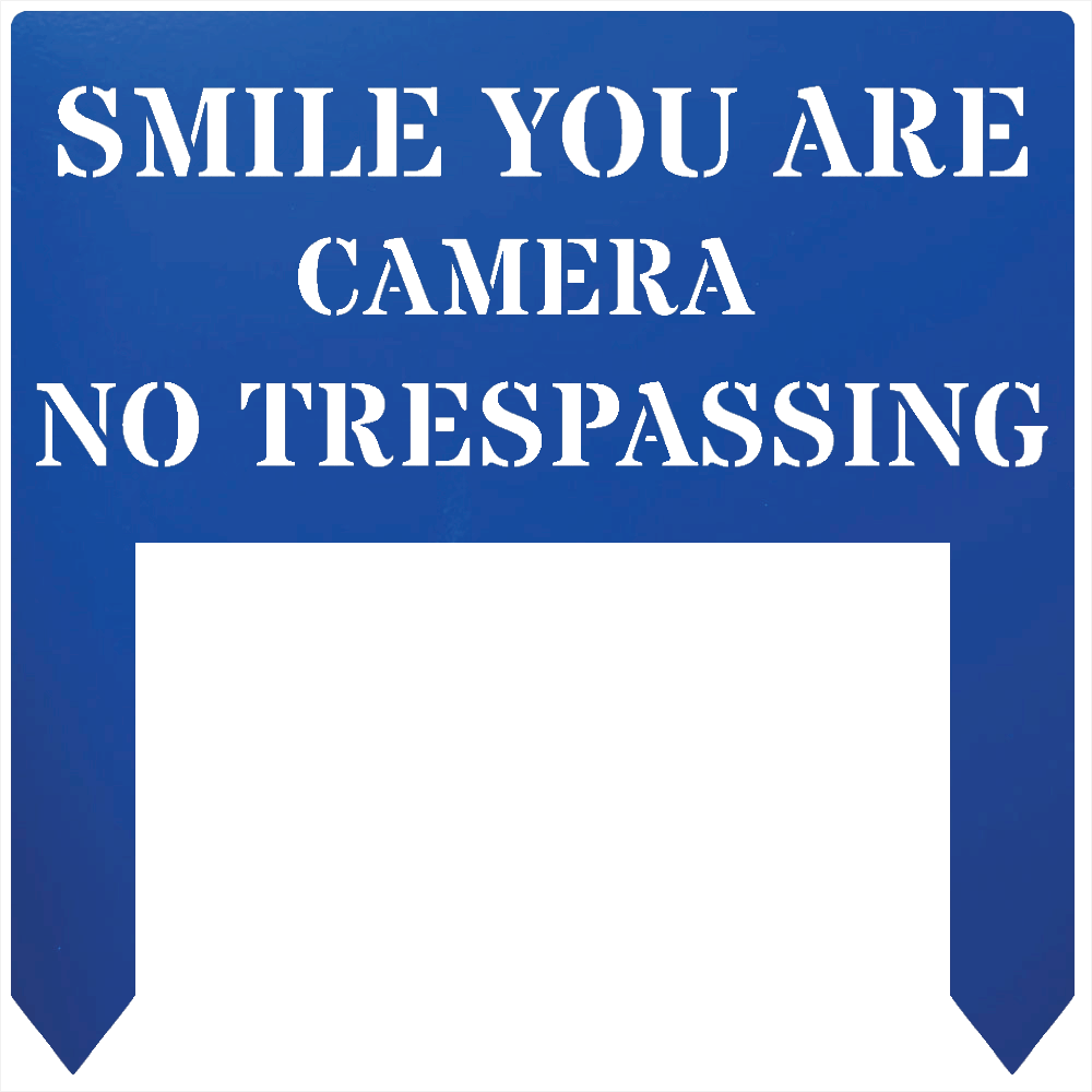 34645523482006433