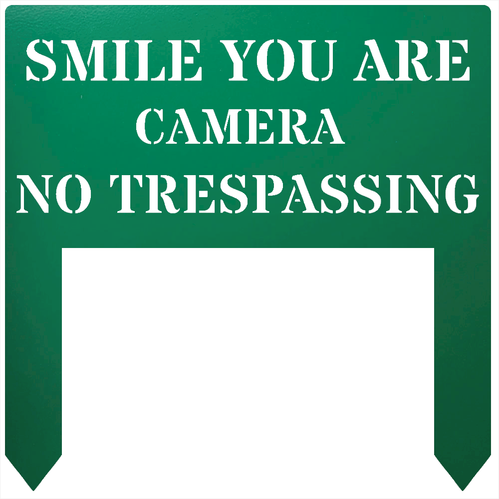34645523482006437