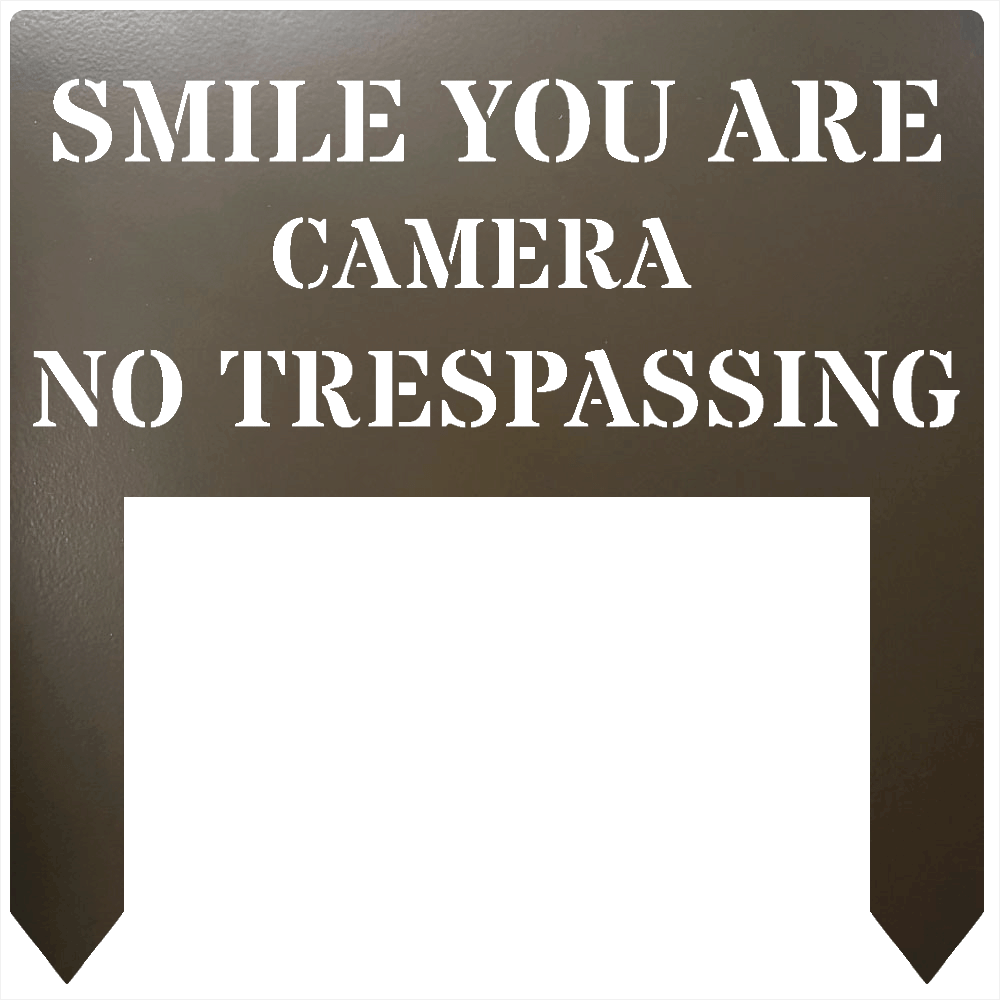 34645523482006438