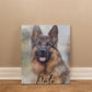 Custom Watercolor Pet Portrait From Photo